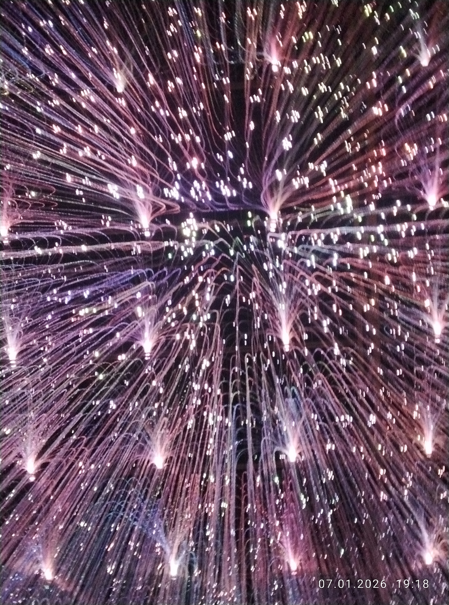 Фото автора. 