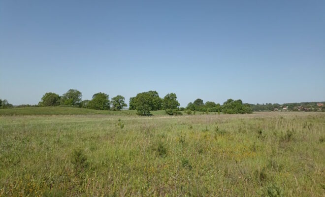    Фото Пресса40.ру Ярослав Малинин