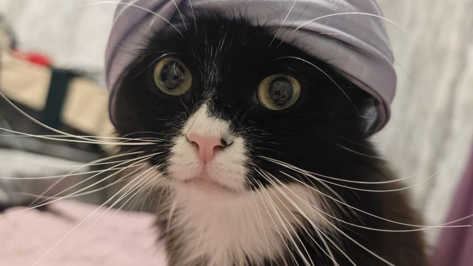 Ахалай махалай! Елку🎄 разобрали? Мы сегодня начинаем, и сразу к весне готовимся