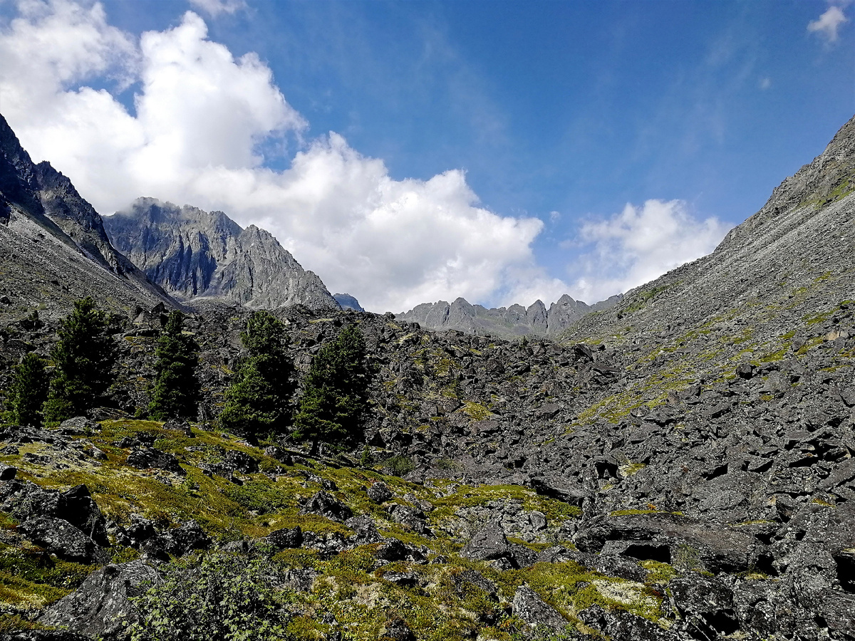 Фото: Владимир Коркин