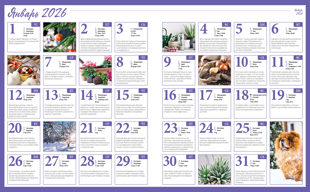 пример лунного посевного календаря от портала Садо водник