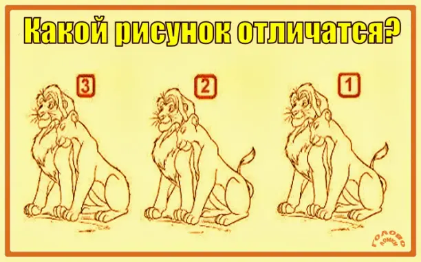 🦁 Найди отличающийся рисунок: три пары льва и львицы