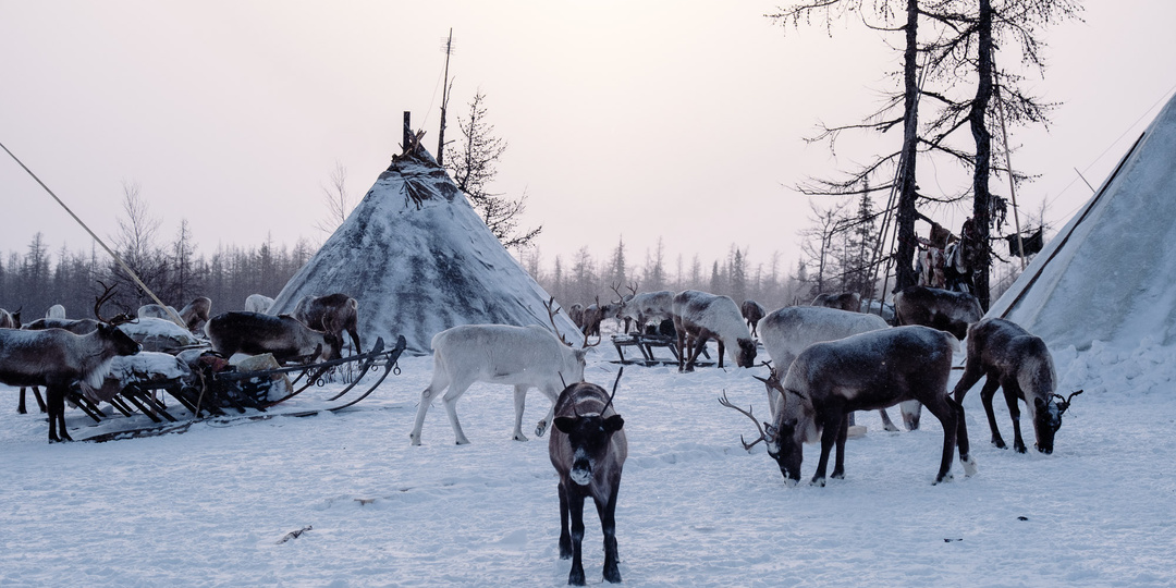 Почему люди, живущие в тундре без отопления и дорог, отказываются уезжать