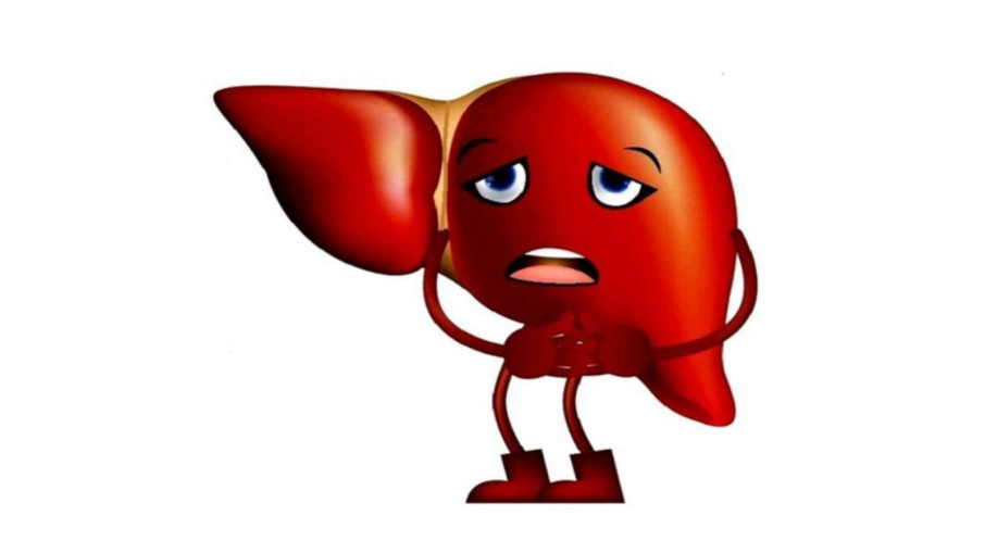 9 признаков усталости печени