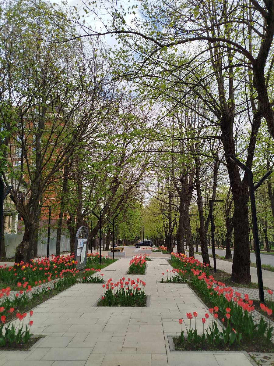 Фото автора.