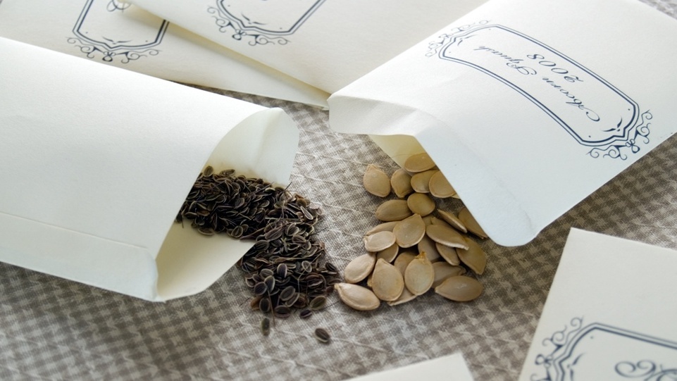 Упаковки семян