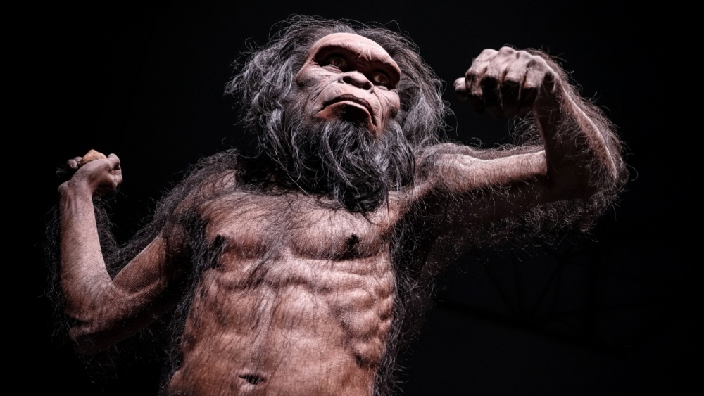     Фото: AKKHARAT JARUSILAWONG/Shutterstock/FOTODOM Homo habilis