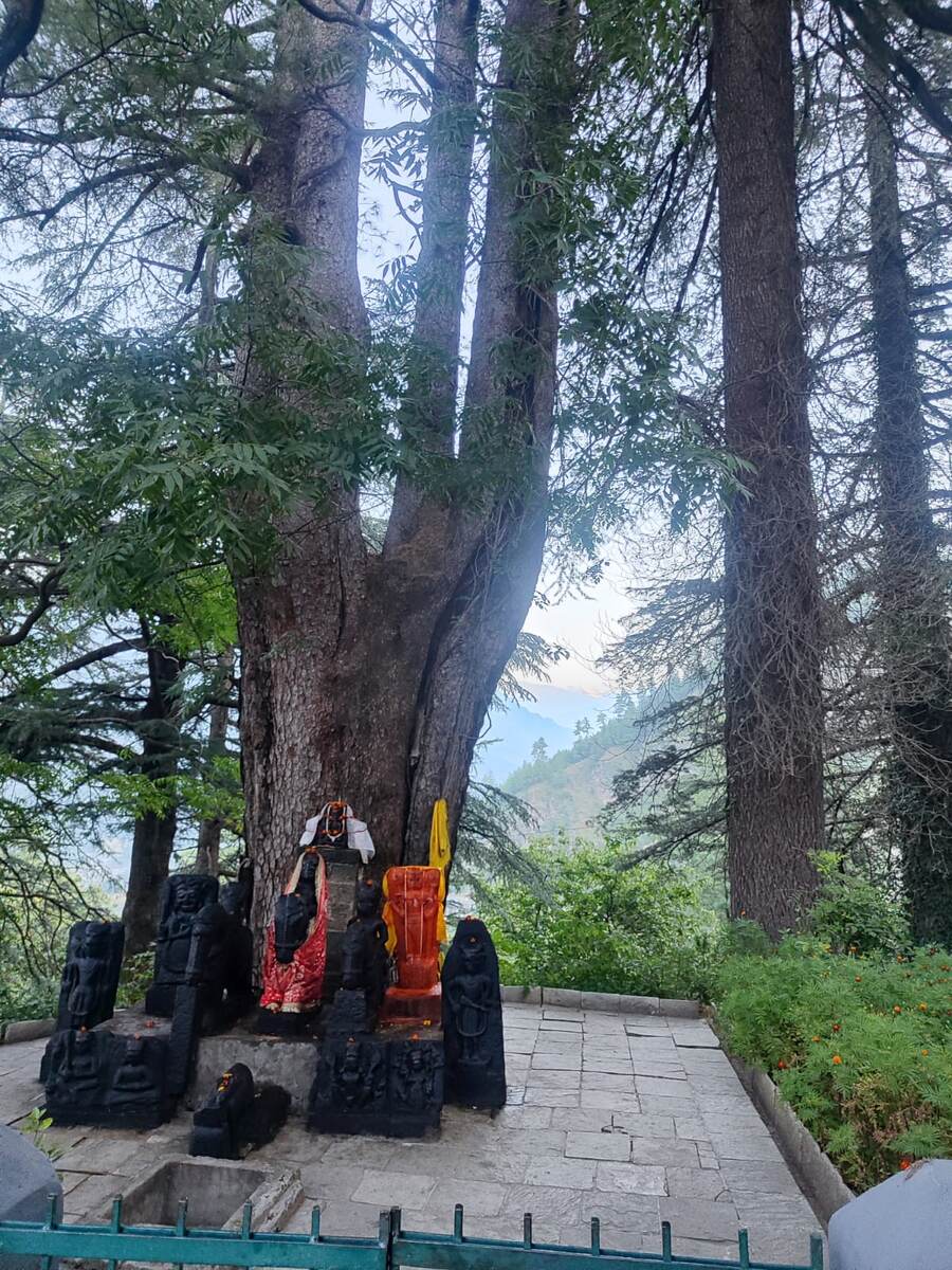 Долина Кулу