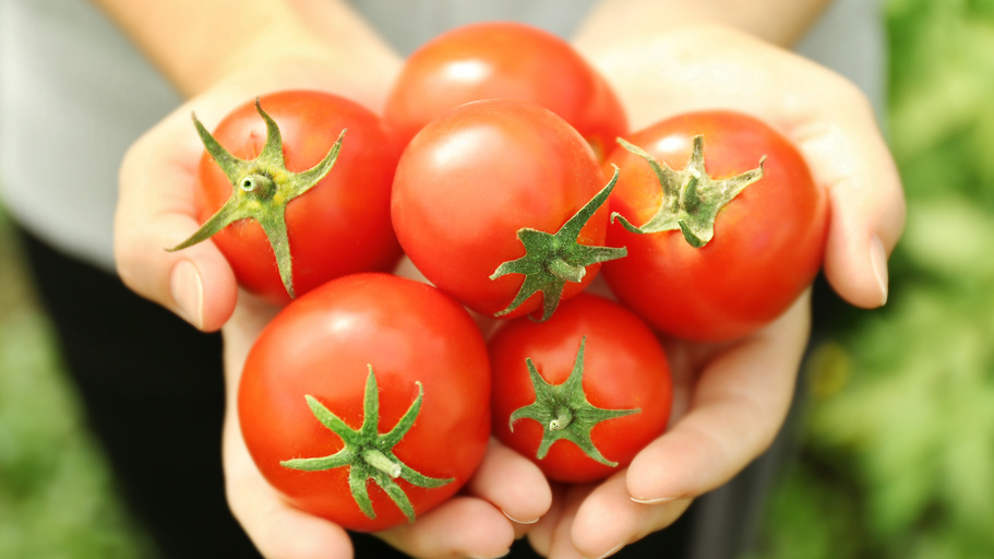 Реальность против рекламы: то, что выросло из "сладких гигантов"