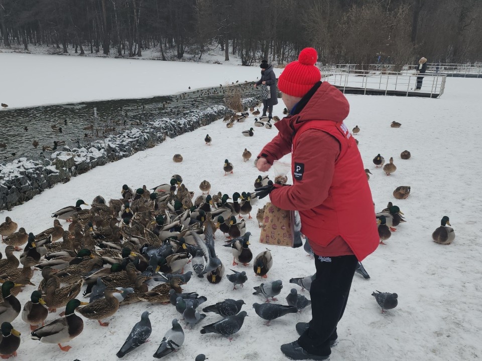    Фото: МедиаБанк Подмосковья/Елизавета Приймак