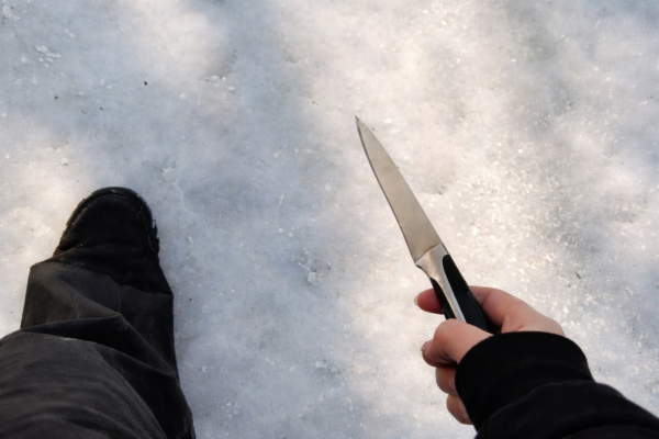 В Воронеже шестиклассница пришла в школу с ножом ради съемки контента