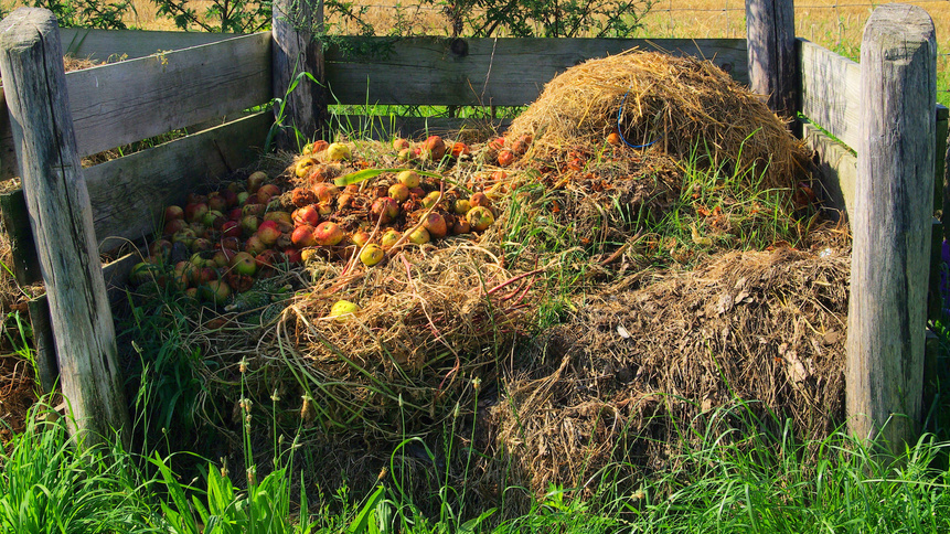 Компостная куча