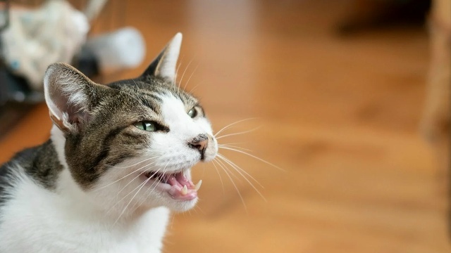 Если коротко, то нет.