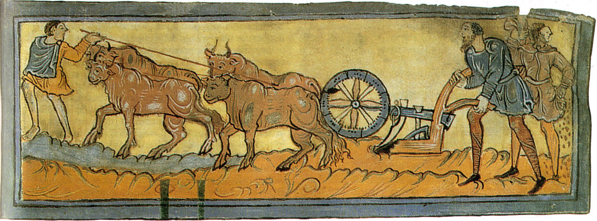 Еды, никогда не бывает даже достаточно.