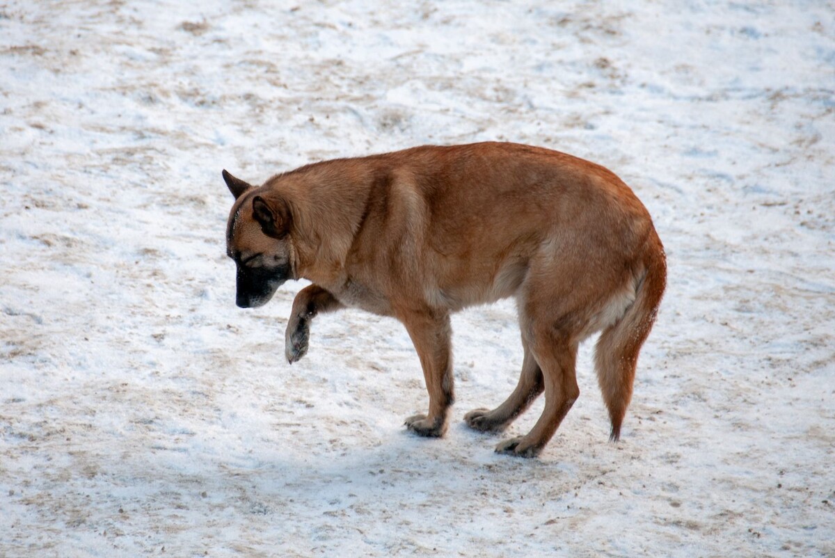     / Источник: © Global Look Press