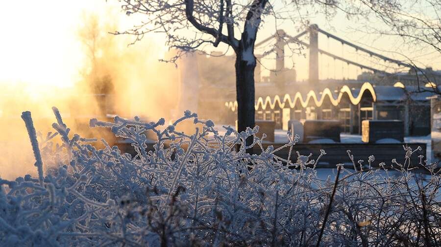    Фото: ИЗВЕСТИЯ/Александр Казаков