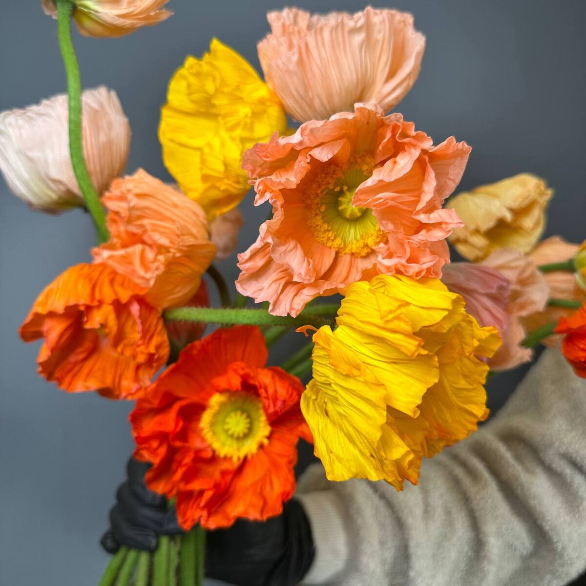 Свежие цветы с доставкой курьерами Розмаркта в Санкт-Петербурге