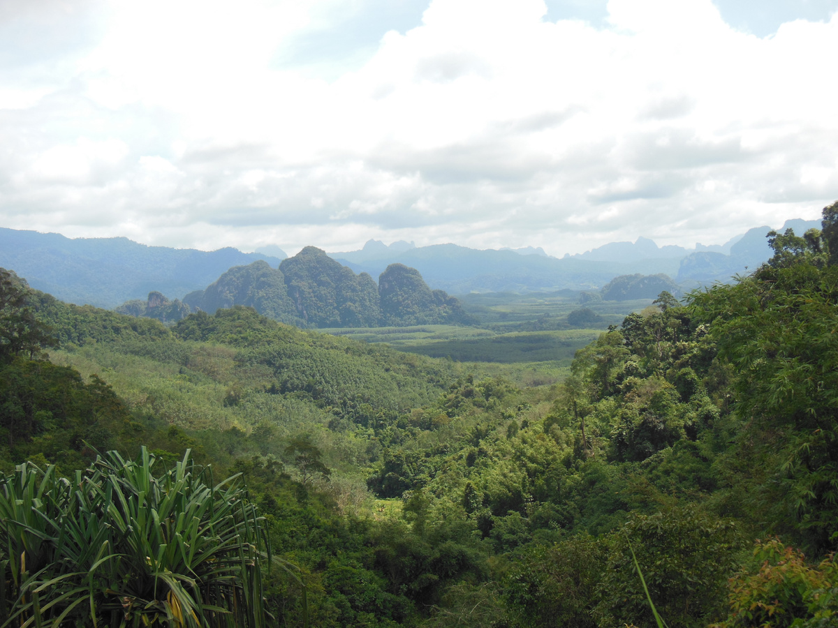 Фото автора. Наша планета по красоте вполне может конкурировать с Пандорой, разве нет?