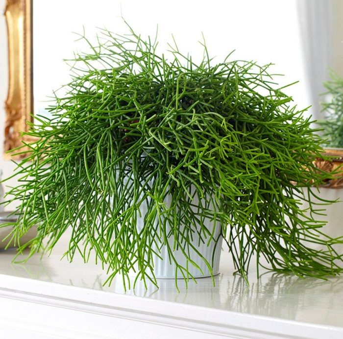 парадоксально 