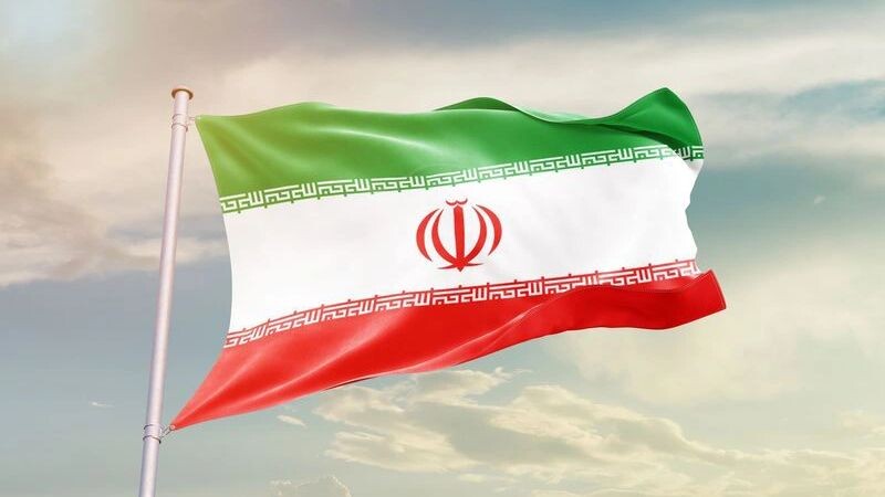    Фото: em_concepts/Shutterstock/Fotodom