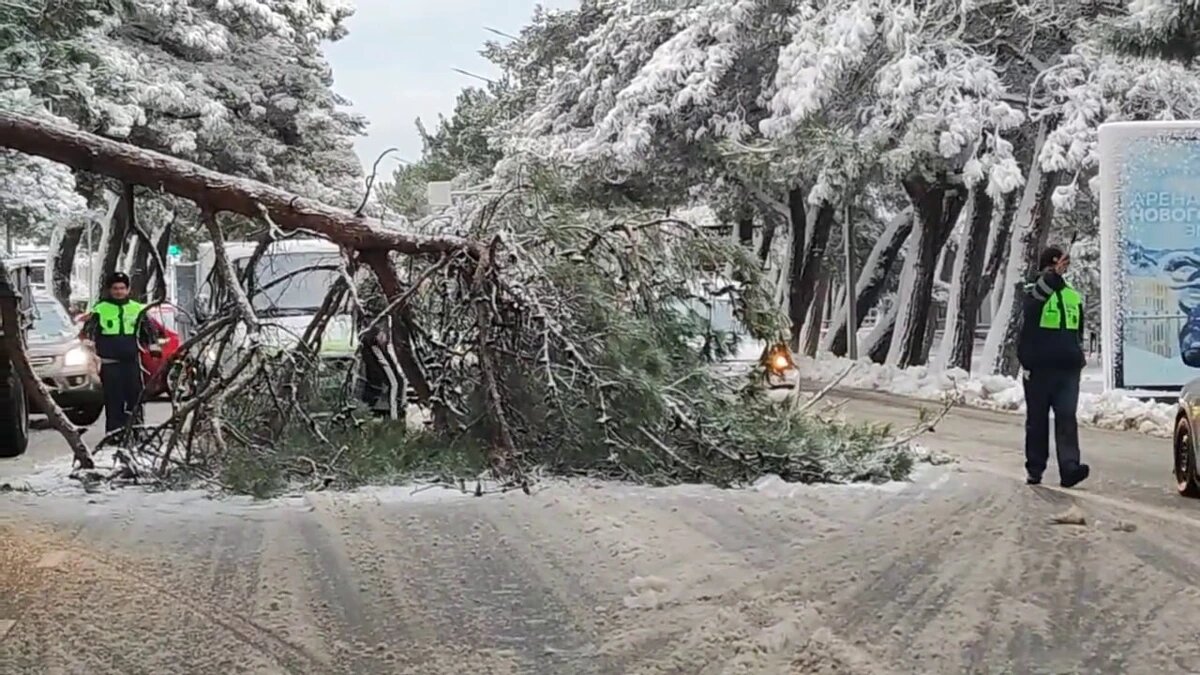    Фото t.me/mcu_gelen