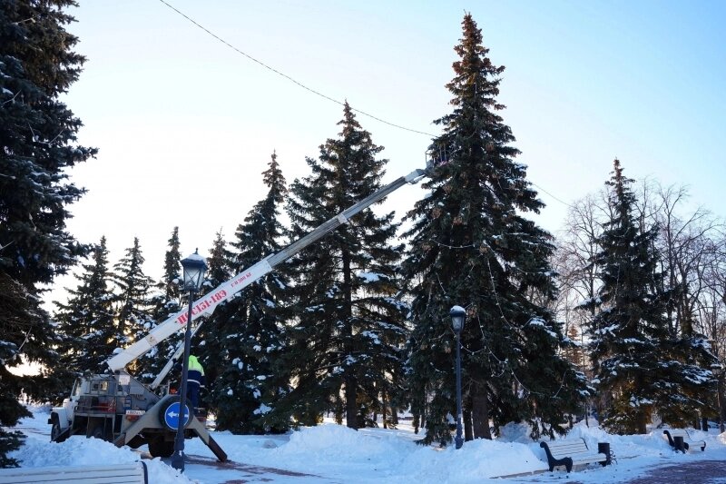    Фото: Городской центр по благоустройству и озеленению, Ульяновск