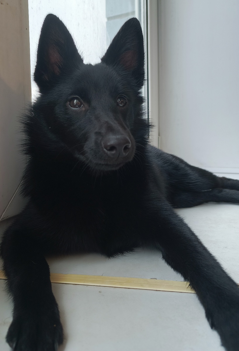 Вермут рекомендует. Фото автора