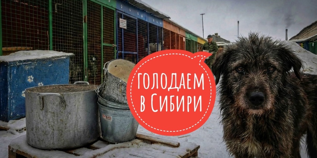 Холодно было всю неделю, ЗАПАСОВ БОЛЬШЕ НЕТ!