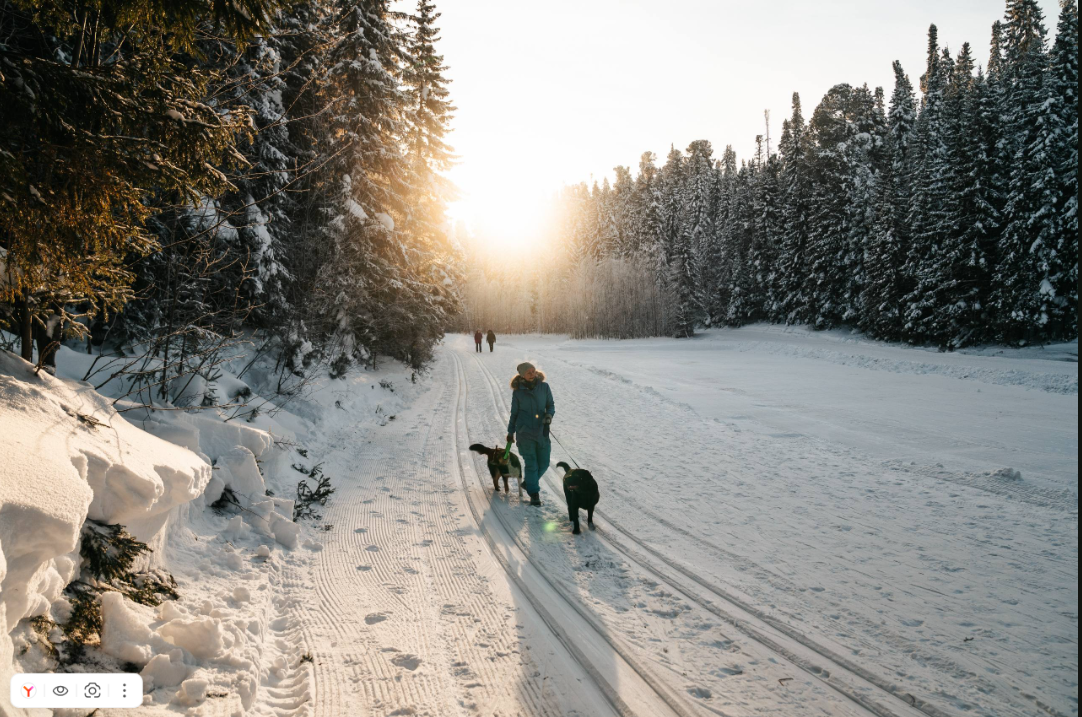 Фото из официального телеграм-канала Губернатора ХМАО-Югры Руслана Кухарука