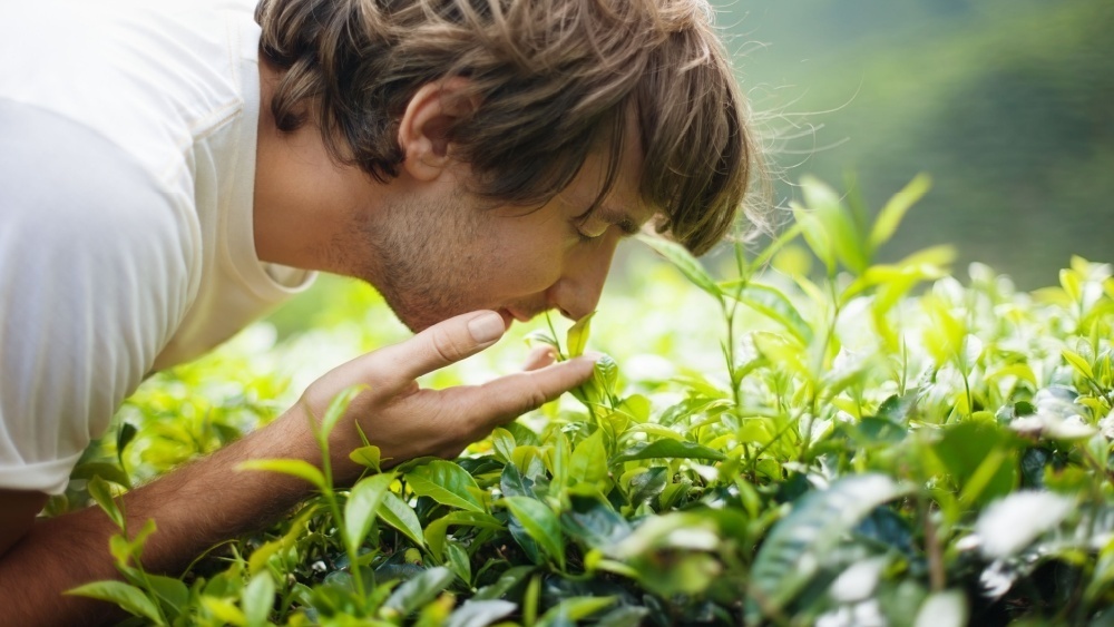     Фото: Viktor Gladkov/Shutterstock/FOTODOM