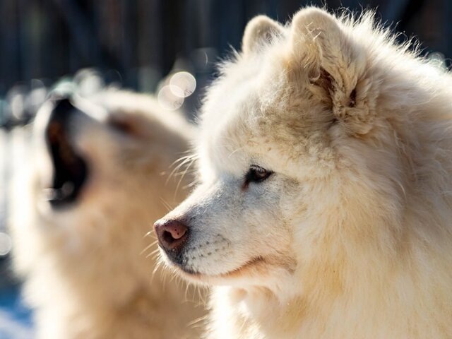    Фото: Москва 24/Лидия Широнина