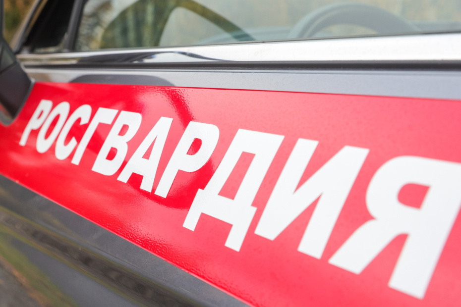    Наталья Шатохина/NEWS.ru