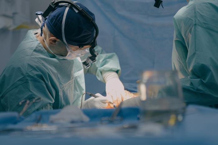 Обложка © Shutterstock / FOTODOM / MayaLab