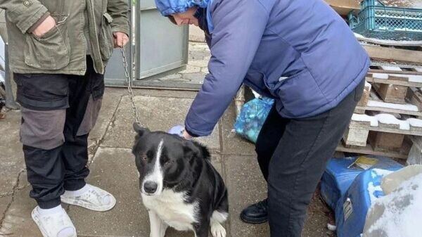    © Госкомветеринарии РК