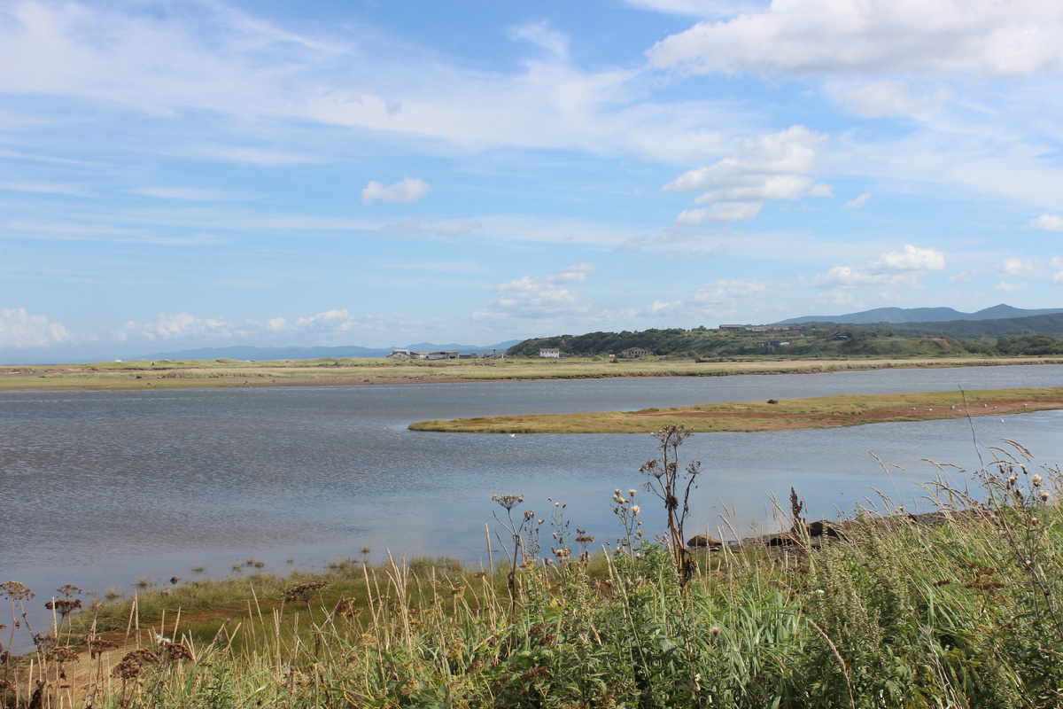 река Большая Александровка