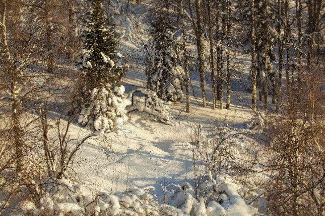 Фото: Юлия Боровикова («Вечерний Челябинск»)