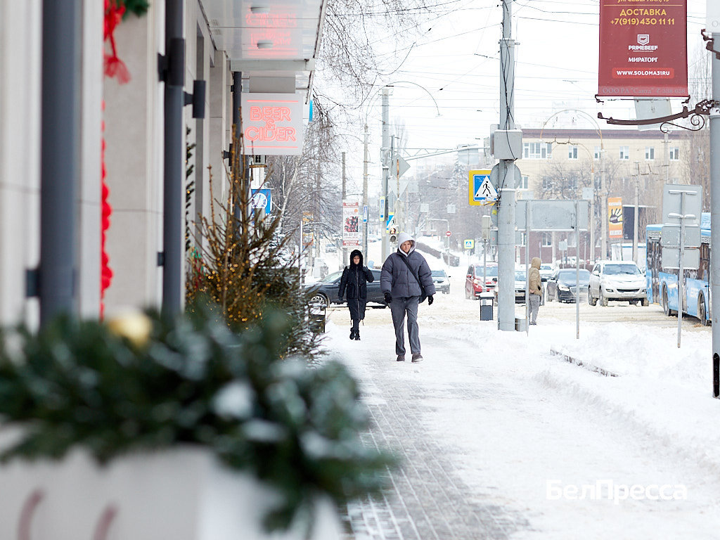    Фото: Елена Журавлёва