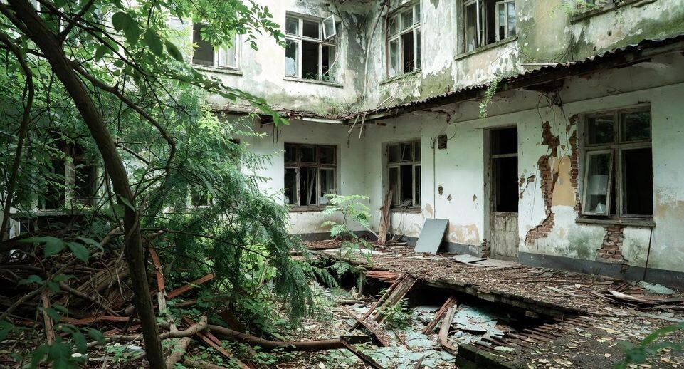    Подмосковье сегодня/Сгенерировано нейросетью