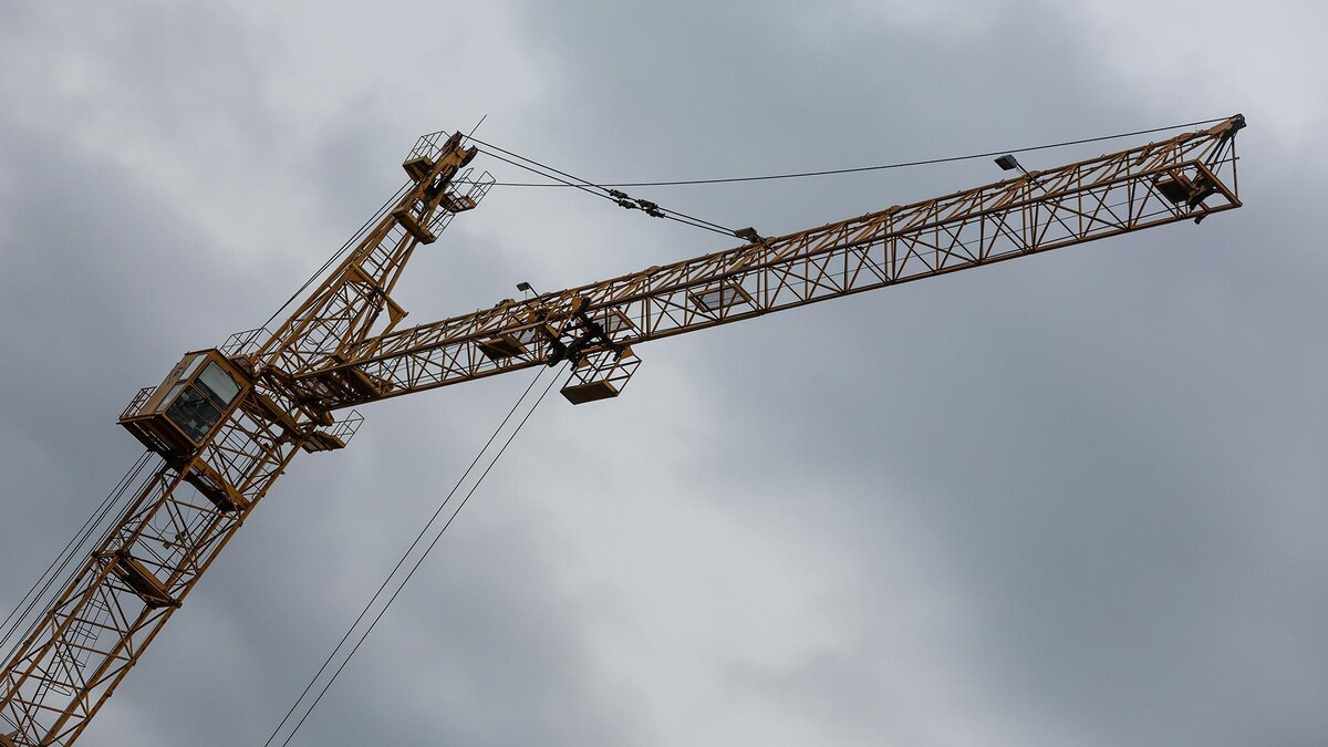    Фото: Belkin Alexey/globallookpress.com