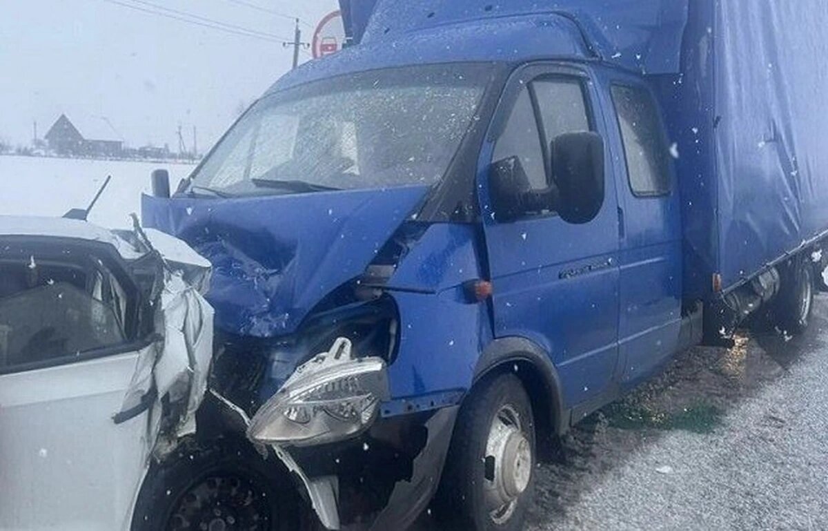    Фото t.me/gibdd123region