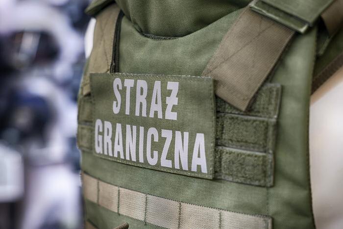 Обложка © Shutterstock / FOTODOM / FotoDAX