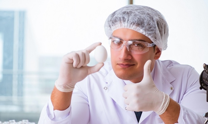    Яйца можно есть каждый день