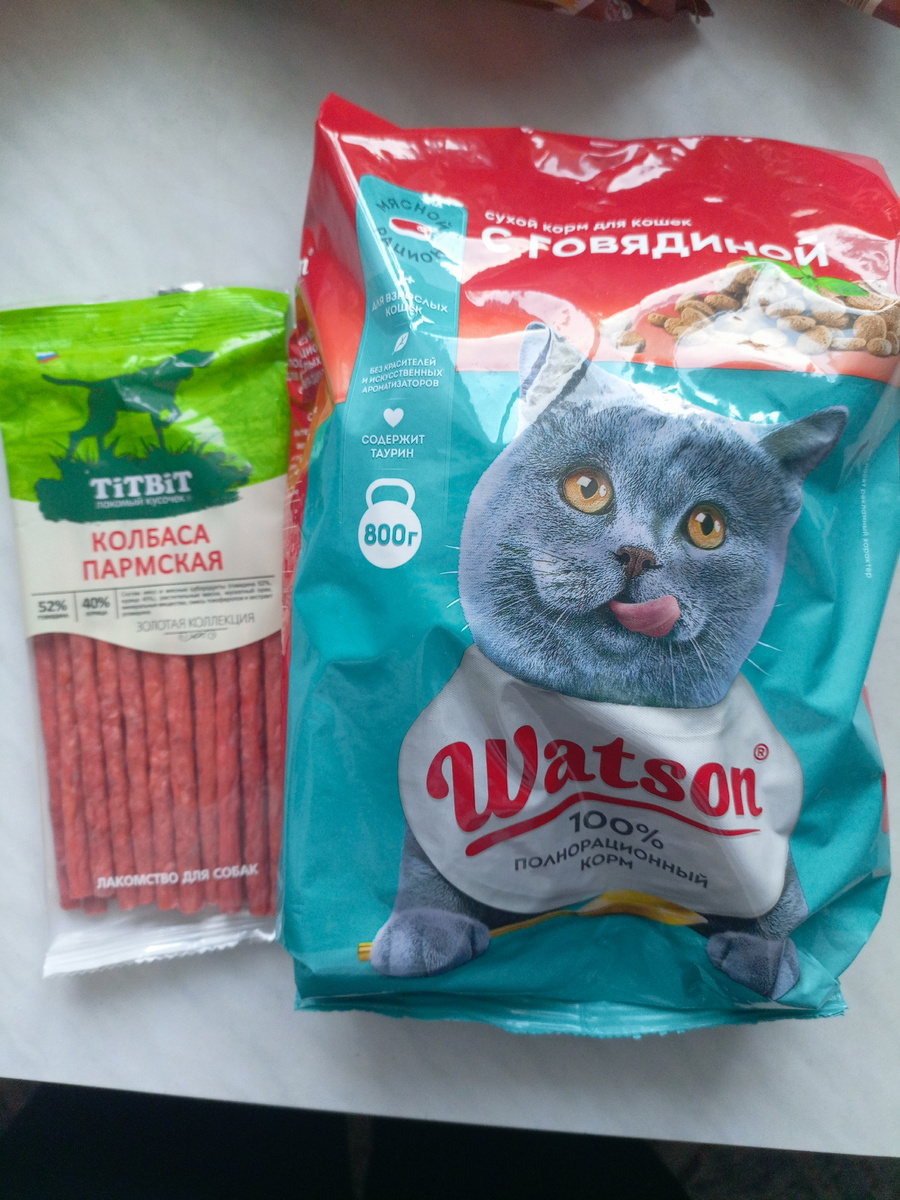 Фото сделано автором канала