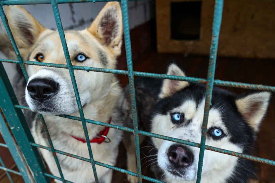    Сергей Петров/NEWS.ru