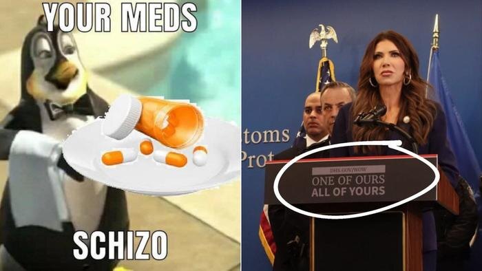 МВБ США предложило сравнивающим миграционную полицию с СС пить таблетки. Фото © Х /Homeland Security; Х / Wu Tang is for the Children