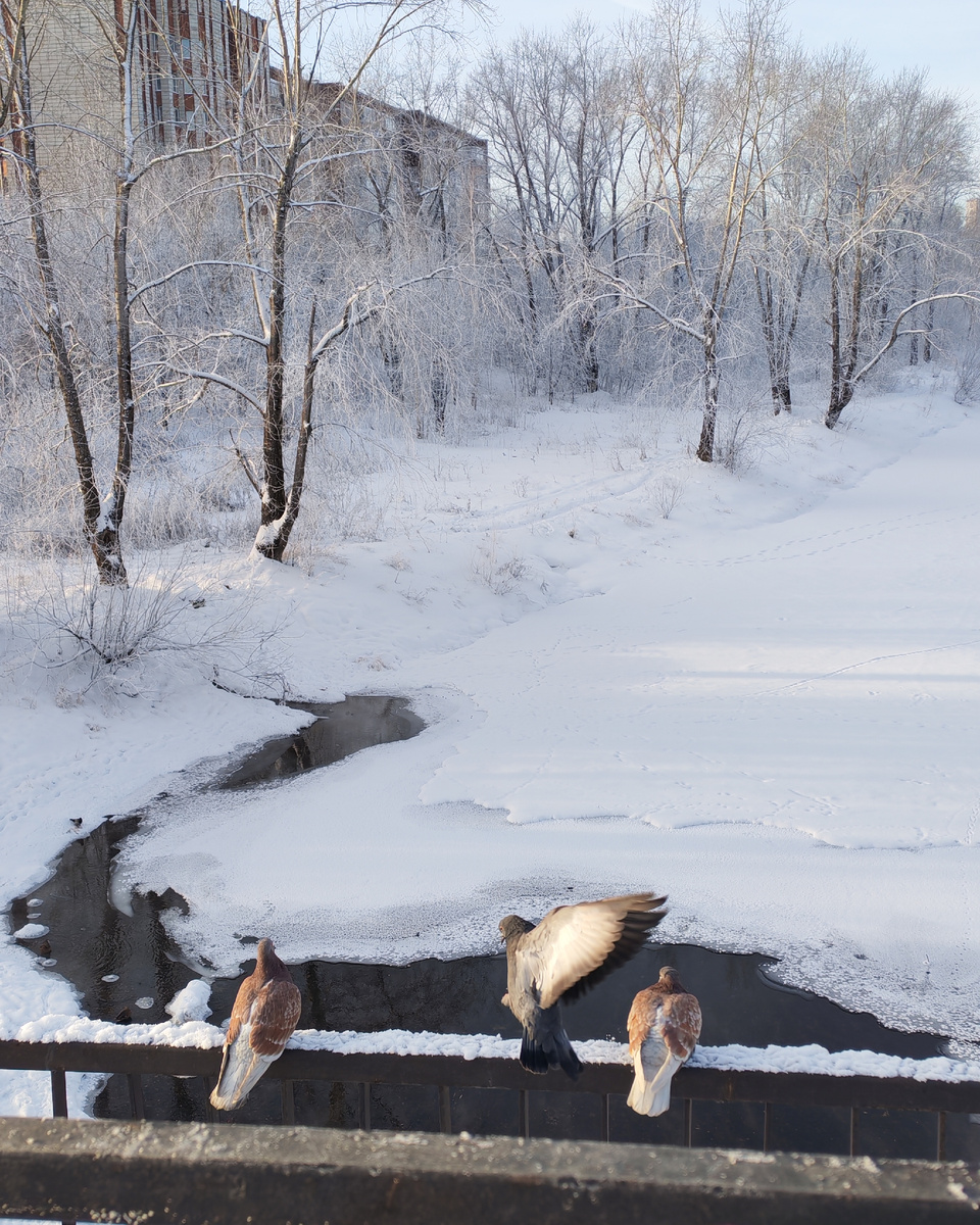 Нижний Тагил. 16 января 2026 год