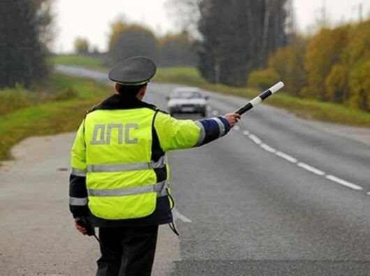    ДПС // Фото webpulse.imgsmail.ru