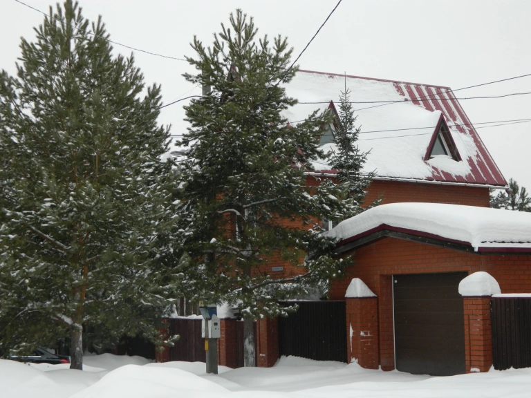 Особняк Виталия Волчека в Перми (Фото: Михаил Лобанов)