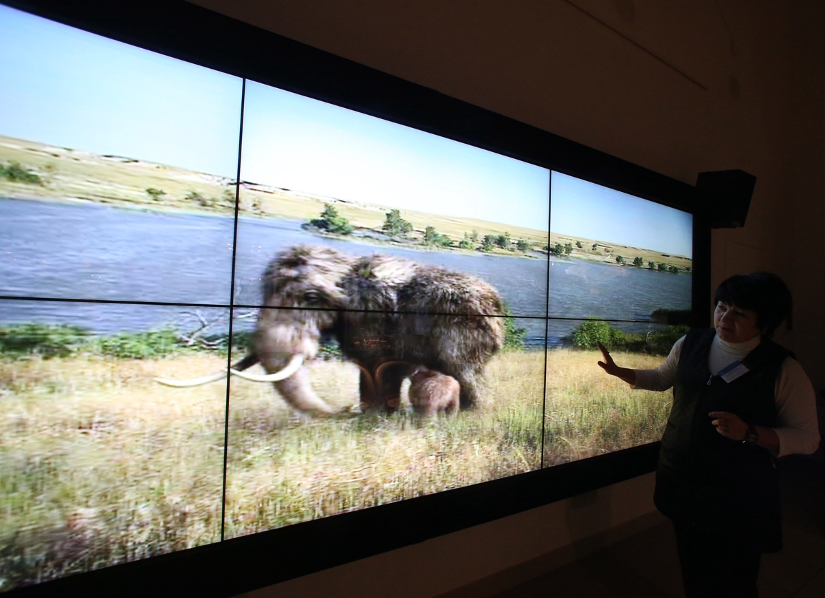    РИА Новости