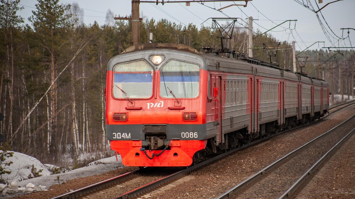    Фото: flickr.com/Дмитрий Лучинский